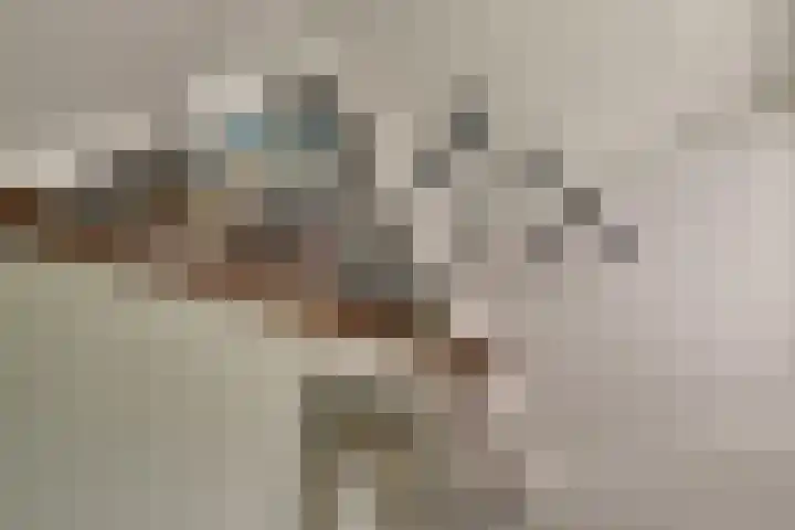 Bonkelaarsdijk 7 Schagen thumbnail 26