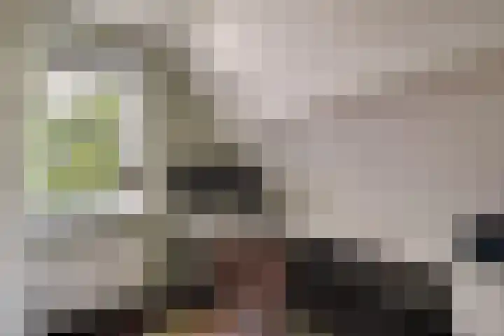 Bonkelaarsdijk 7 Schagen thumbnail 29