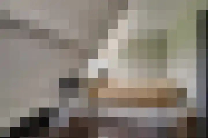 Bonkelaarsdijk 7 Schagen thumbnail 30