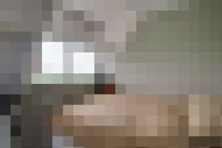 Bonkelaarsdijk 7 Schagen thumbnail 31