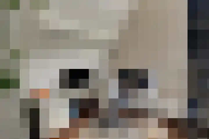 Bonkelaarsdijk 7 Schagen thumbnail 33