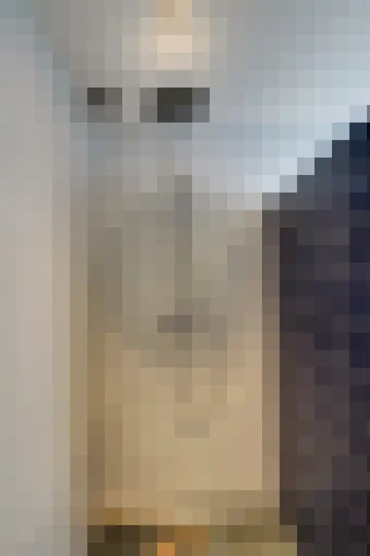 Bonkelaarsdijk 7 Schagen thumbnail 38