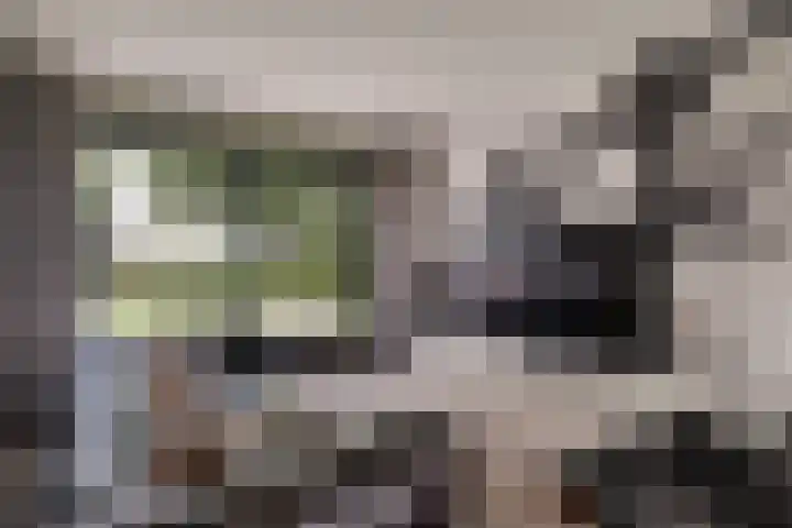 Bonkelaarsdijk 7 Schagen thumbnail 4