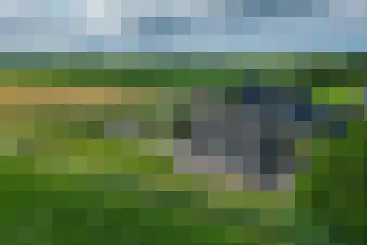 Bonkelaarsdijk 7 Schagen thumbnail 41