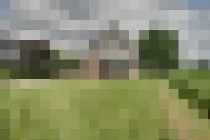Bonkelaarsdijk 7 Schagen thumbnail 42