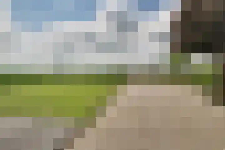 Bonkelaarsdijk 7 Schagen thumbnail 43
