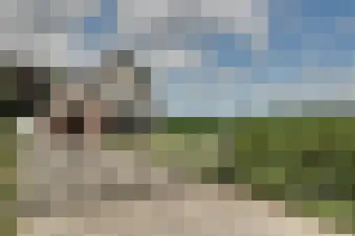 Bonkelaarsdijk 7 Schagen thumbnail 46