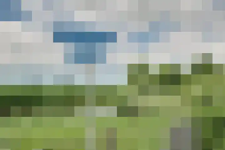 Bonkelaarsdijk 7 Schagen thumbnail 47