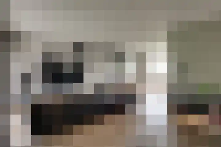 Bonkelaarsdijk 7 Schagen thumbnail 5