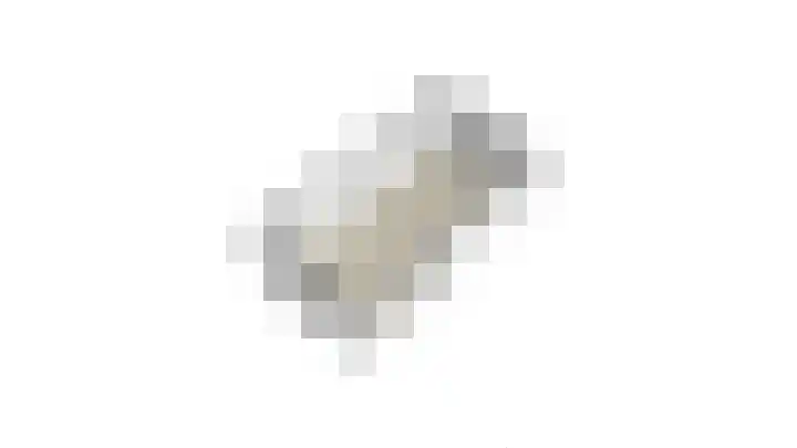 Bonkelaarsdijk 7 Schagen thumbnail 58