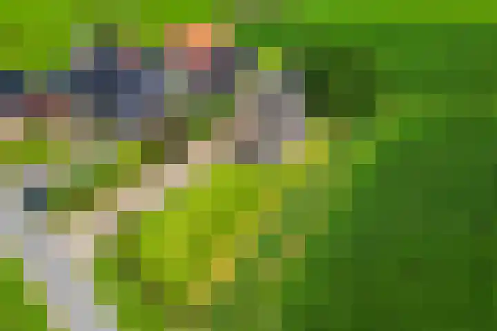 Bonkelaarsdijk 7 Schagen thumbnail 62