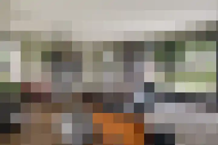 Bonkelaarsdijk 7 Schagen thumbnail 7