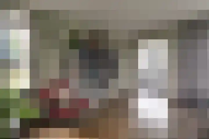 Bonkelaarsdijk 7 Schagen thumbnail 8