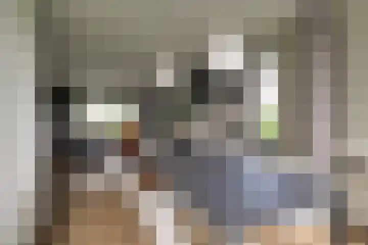 Bonkelaarsdijk 7 Schagen thumbnail 9