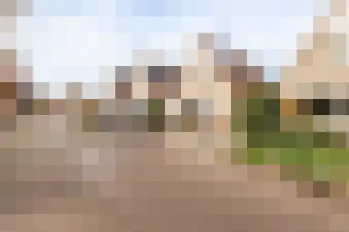 Bonkelaarweg 13 Culemborg thumbnail 5