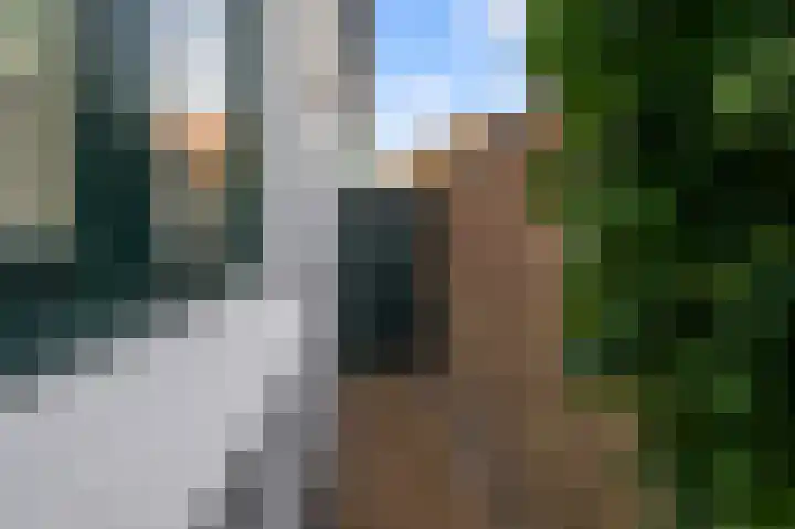 Bonkenburg 16 Uitgeest thumbnail 16