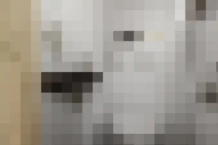 Bonkenburg 16 Uitgeest thumbnail 17