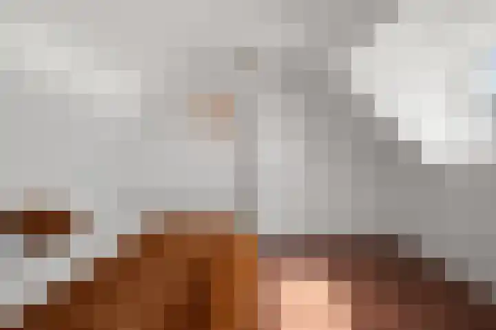 Bonkenburg 16 Uitgeest thumbnail 29