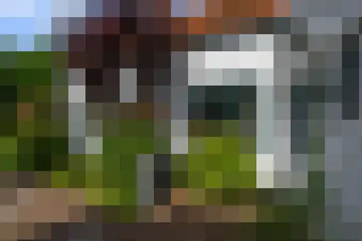 Bonkenburg 16 Uitgeest thumbnail 37