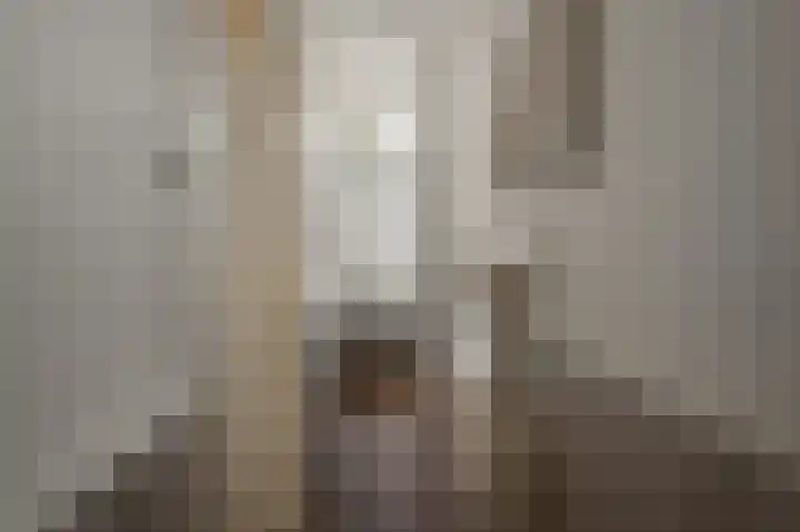 Bonkenburg 16 Uitgeest thumbnail 4