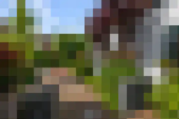 Bonkenburg 16 Uitgeest thumbnail 40