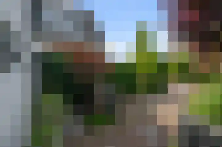 Bonkenburg 16 Uitgeest thumbnail 41