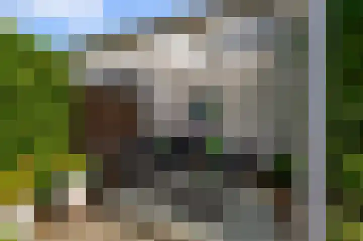 Bonkenburg 16 Uitgeest thumbnail 42