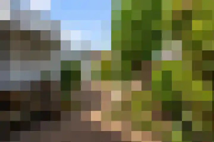 Bonkenburg 16 Uitgeest thumbnail 46
