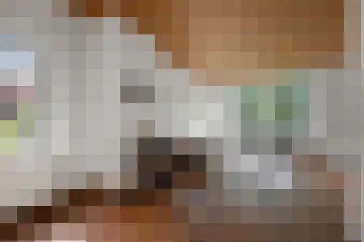 Bonkenburg 16 Uitgeest thumbnail 5