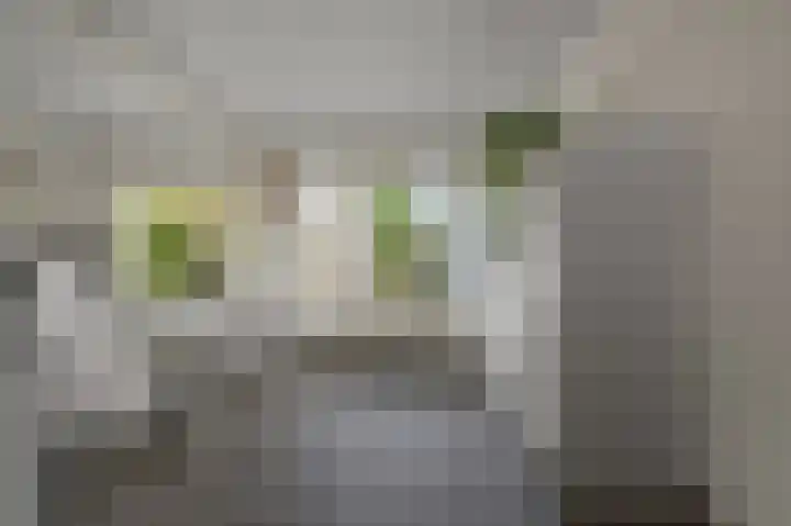 Bonkenburg 16 Uitgeest thumbnail 8