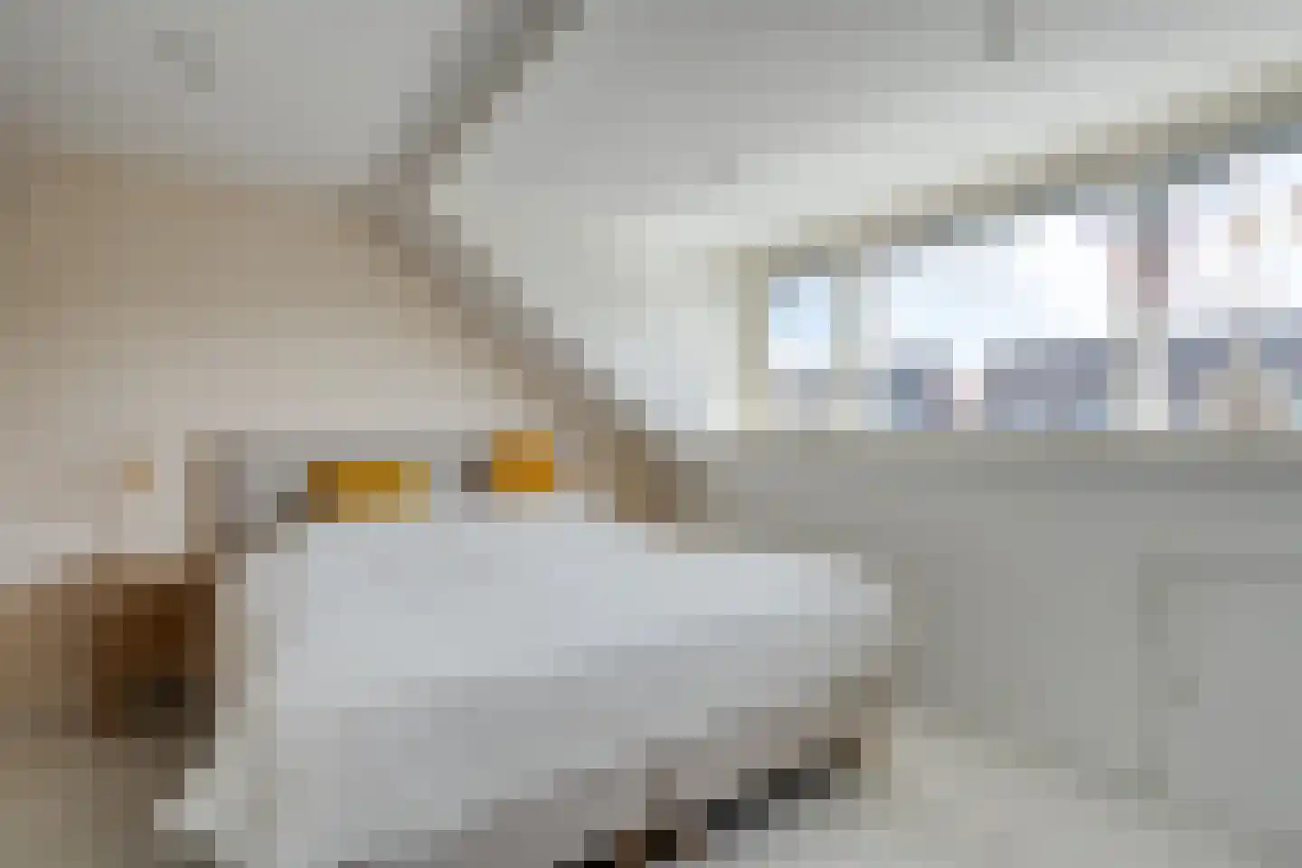 Bonkenhavestraat 104 Zwolle thumbnail 35