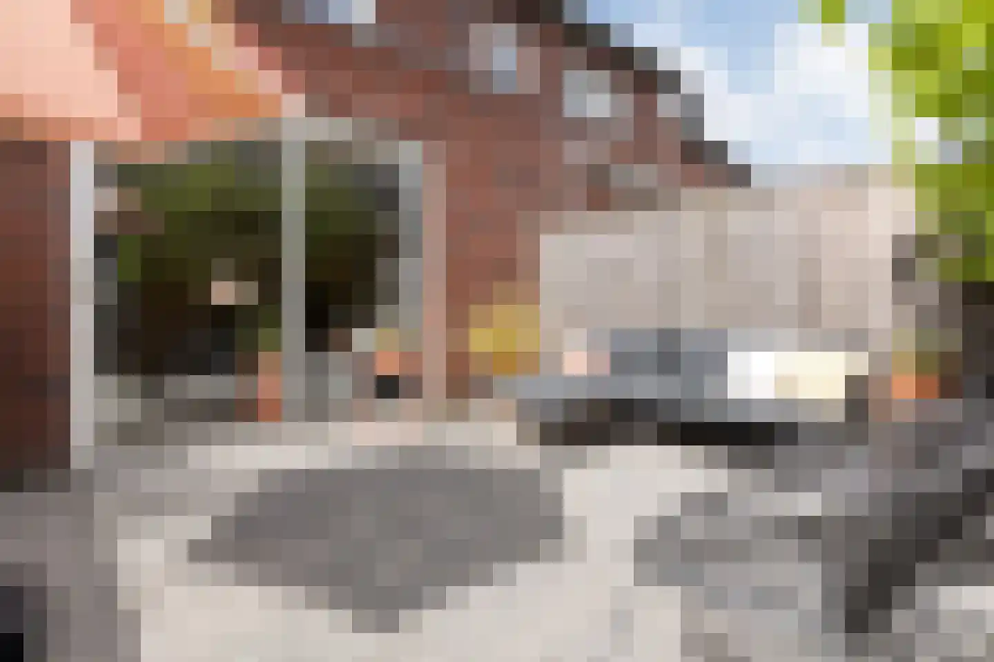 Bonkenhavestraat 104 Zwolle thumbnail 38