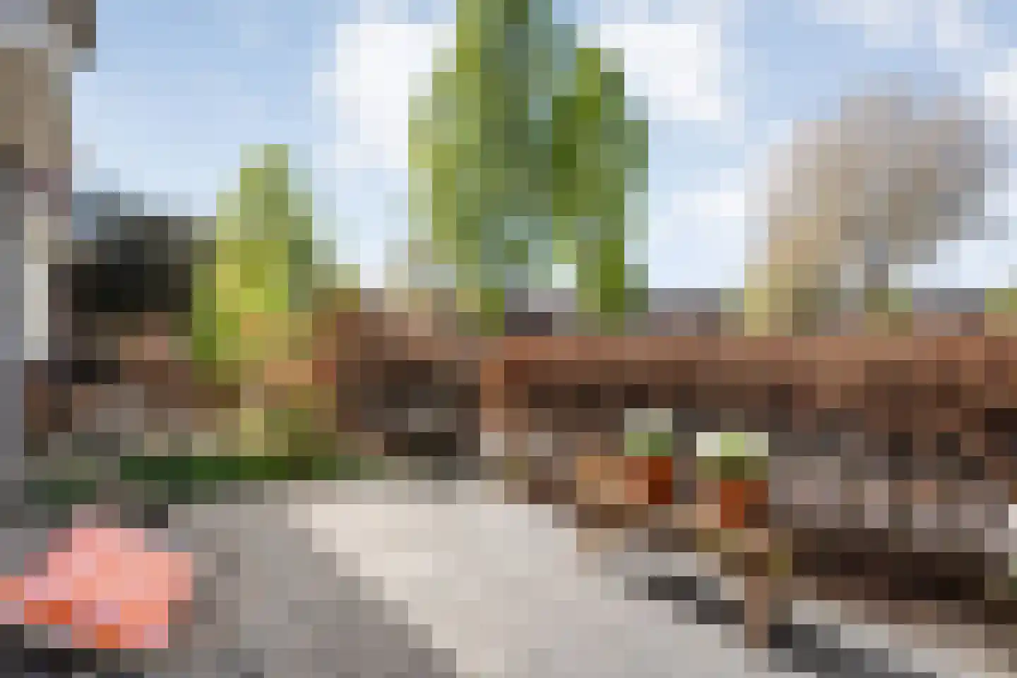 Bonkenhavestraat 104 Zwolle thumbnail 42
