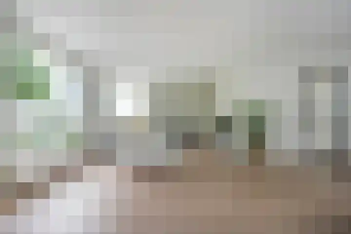 Bonkenhavestraat 13 Zwolle thumbnail 10