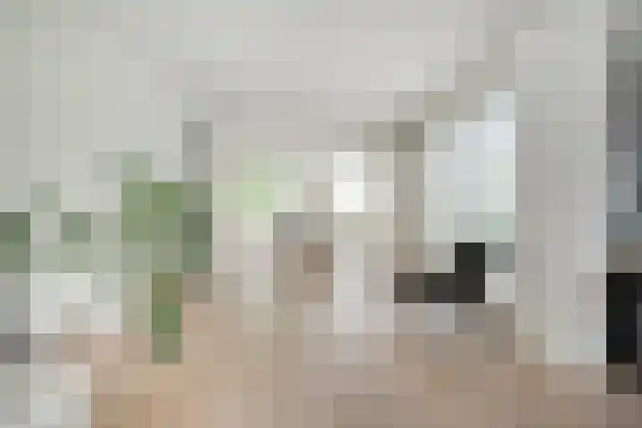 Bonkenhavestraat 13 Zwolle thumbnail 5