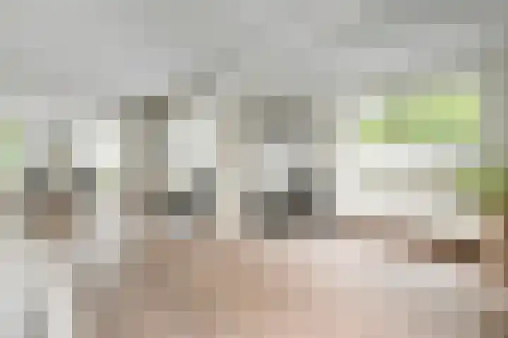 Bonkenhavestraat 13 Zwolle thumbnail 8