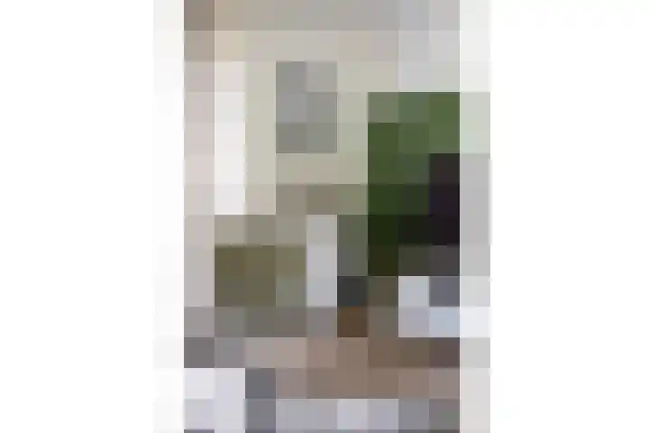 Bonkenhavestraat 134 Zwolle thumbnail 6