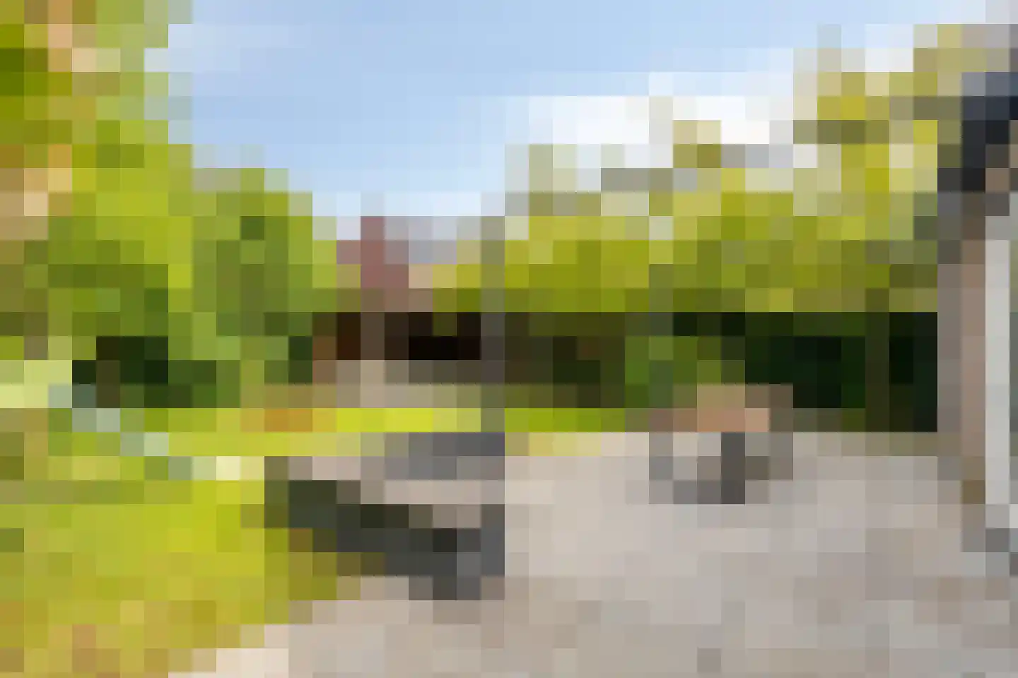 Bonkenhavestraat 148 Zwolle thumbnail 45
