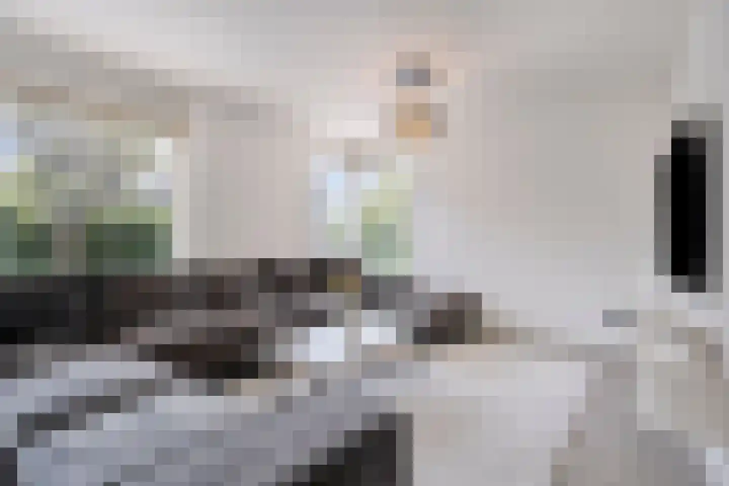 Bonkenhavestraat 148 Zwolle thumbnail 7