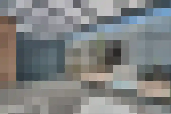 Bonkenhavestraat 90 Zwolle thumbnail 10