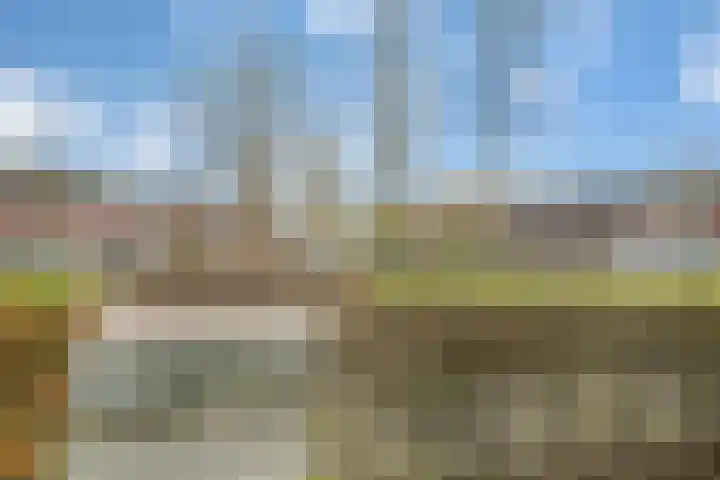 Bonkenhavestraat 90 Zwolle thumbnail 4