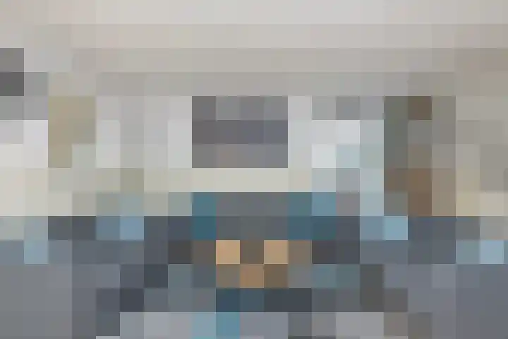 Bonkte Lieuw 14 Hippolytushoef thumbnail 11