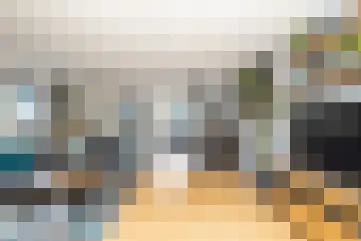 Bonkte Lieuw 14 Hippolytushoef thumbnail 12