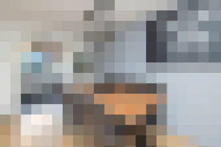 Bonkte Lieuw 14 Hippolytushoef thumbnail 13