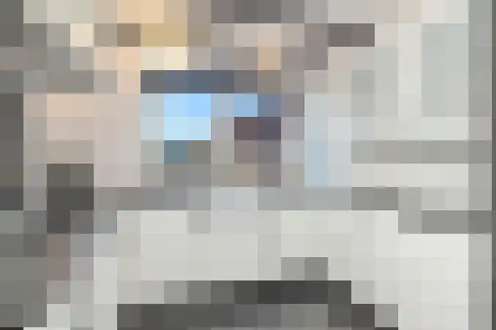 Bonkte Lieuw 14 Hippolytushoef thumbnail 14