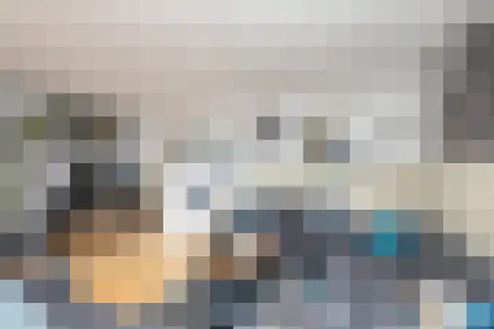 Bonkte Lieuw 14 Hippolytushoef thumbnail 15