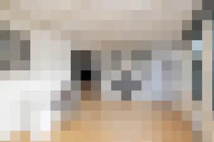 Bonkte Lieuw 14 Hippolytushoef thumbnail 16