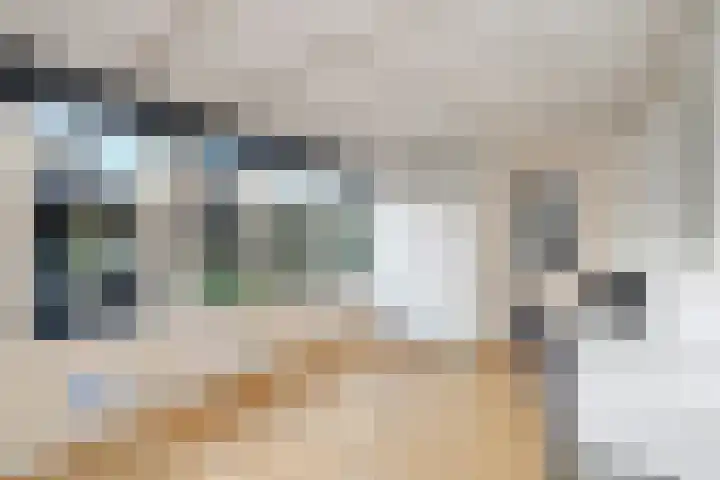 Bonkte Lieuw 14 Hippolytushoef thumbnail 17