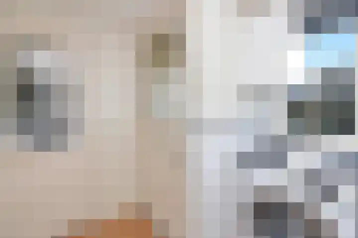 Bonkte Lieuw 14 Hippolytushoef thumbnail 18