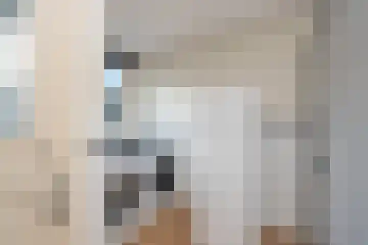 Bonkte Lieuw 14 Hippolytushoef thumbnail 19